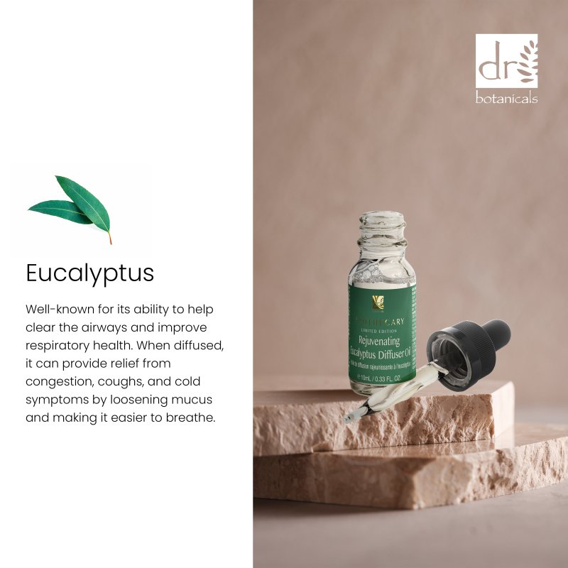Rejuvenating Eucalyptus Diffuser Oil 10ml Twin Value Savings Pack