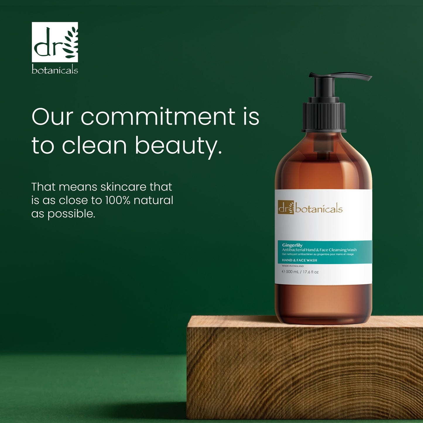 Gingerlily Hand & Face Cleansing Wash 500ml