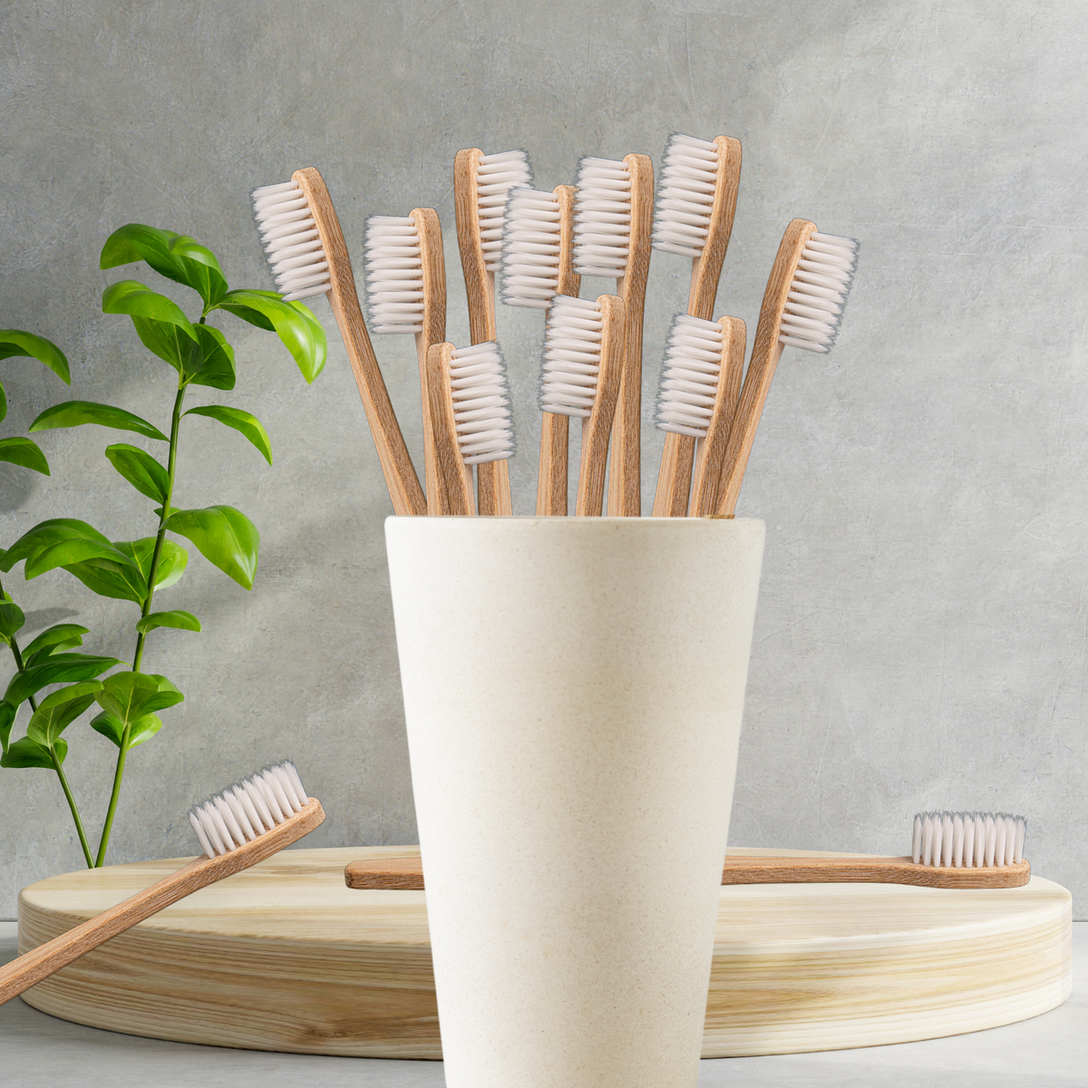 Oral Care Essentials Value Bundles