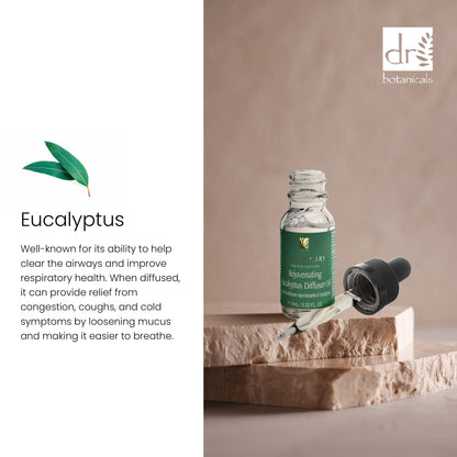 Dr Botanicals Premium 5 In 1 Aromatherapy Rejuvenating Eucalyptus + Captivating Rose Diffuser Kit - skinChemists