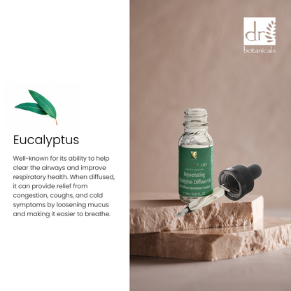 Dr Botanicals Premium 5 In 1 Aromatherapy Rejuvenating Eucalyptus Diffuser Kit