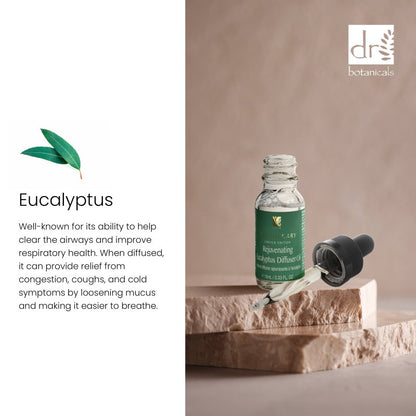 Rejuvenating Eucalyptus Diffuser Oil 10ml Twin Value Savings Pack