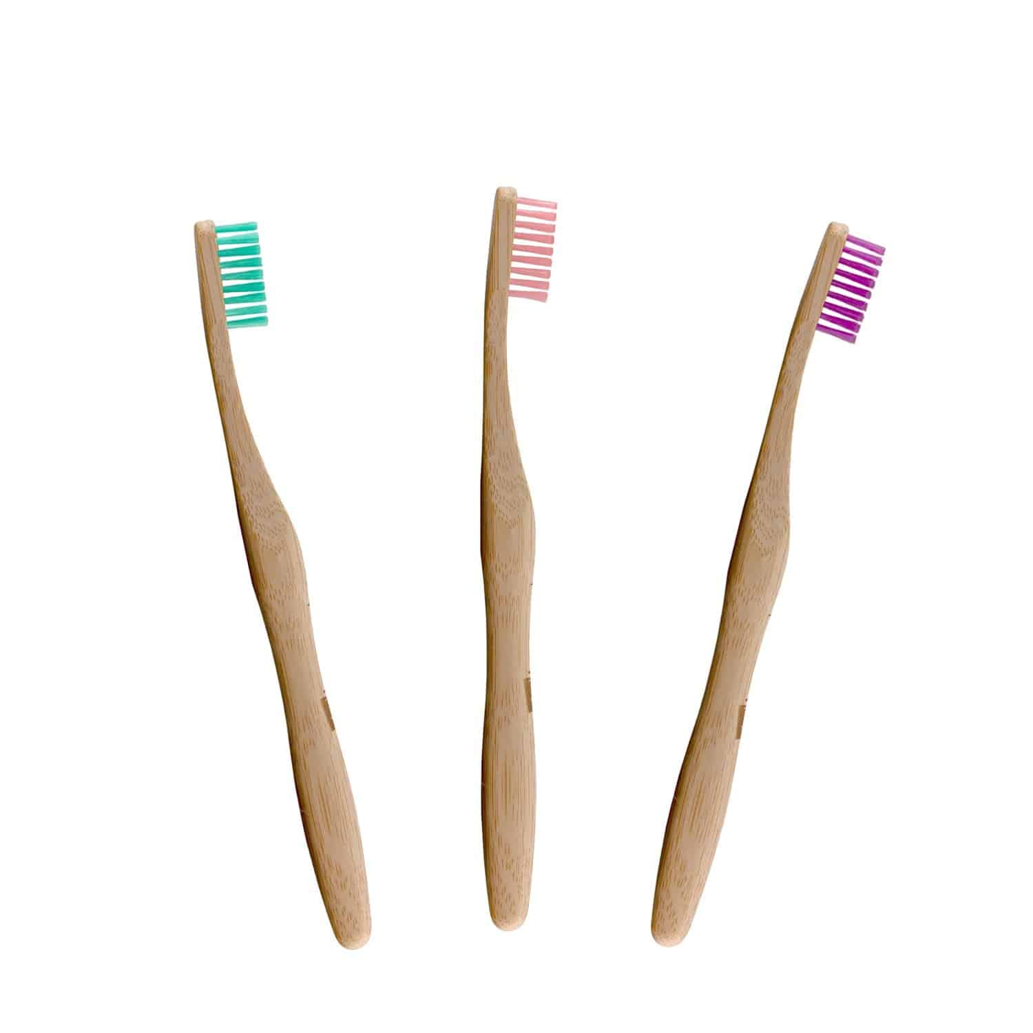 Bamboo Toothbrush Kit