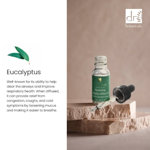 Rejuvenating Eucalyptus Relexation Diffuser Kit