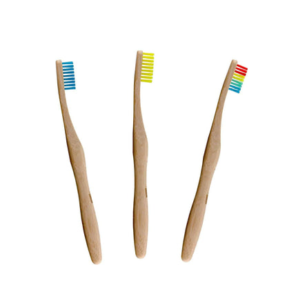 Vibrant Bamboo Toothbrush Kit